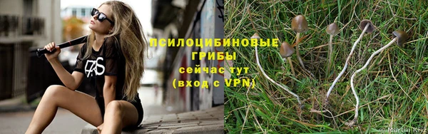 прущая мука Бугульма