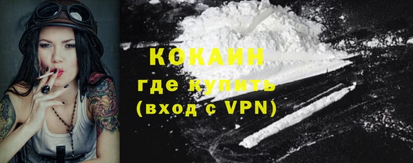 apvp Бородино