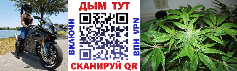 сколько стоит  Лянтор  Конопля гибрид 